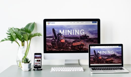 website development goa